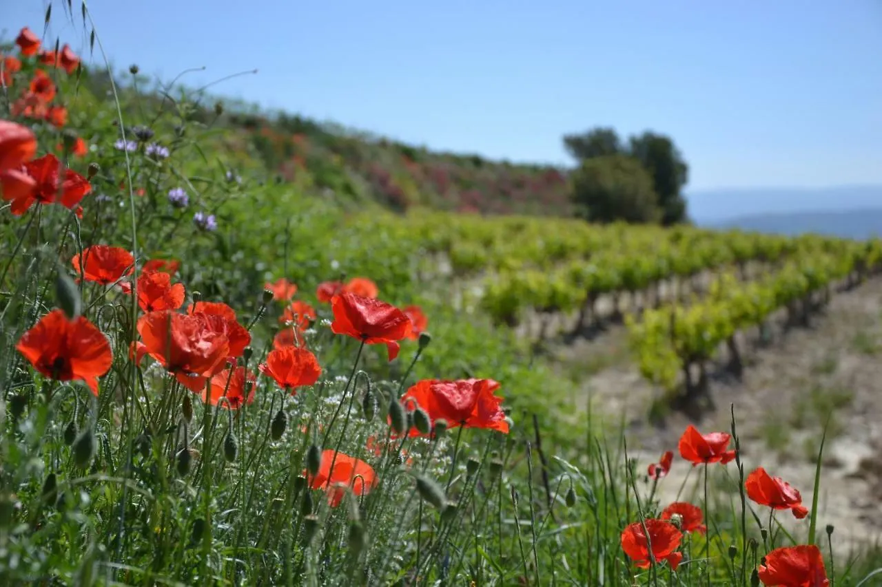 Holiday home Cabanons Jour & Nuit Villa Mazan France